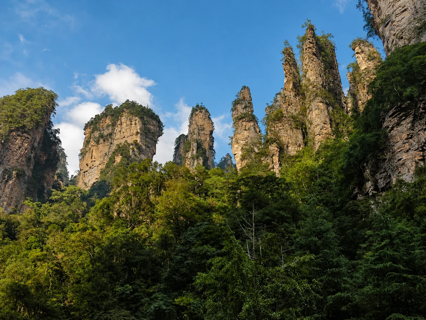 从百龙天梯山下仰望张家界群峰