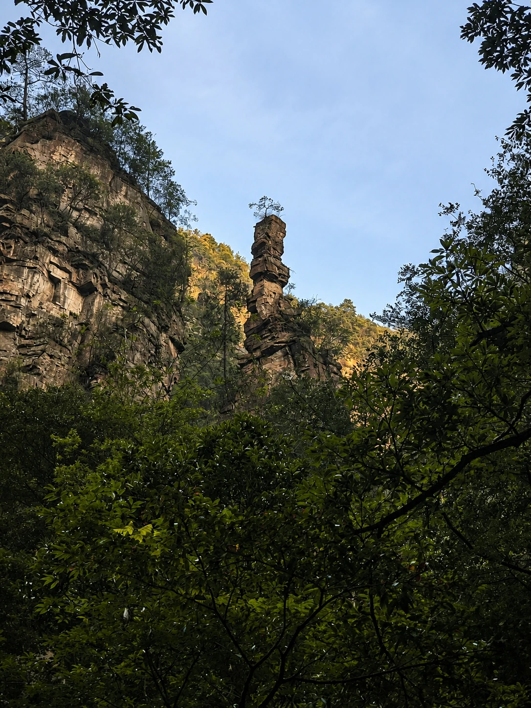 树冠之间独立直立的细长砂岩石峰